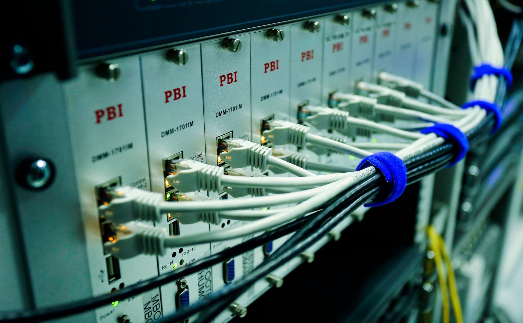 Cables Ethernet conectados a un switch de red